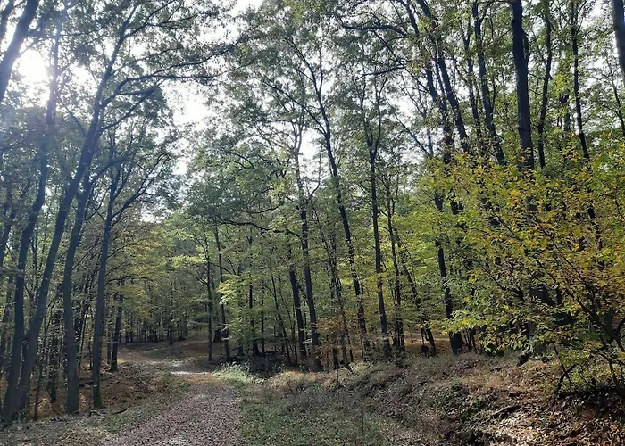 Na Samote דירה *